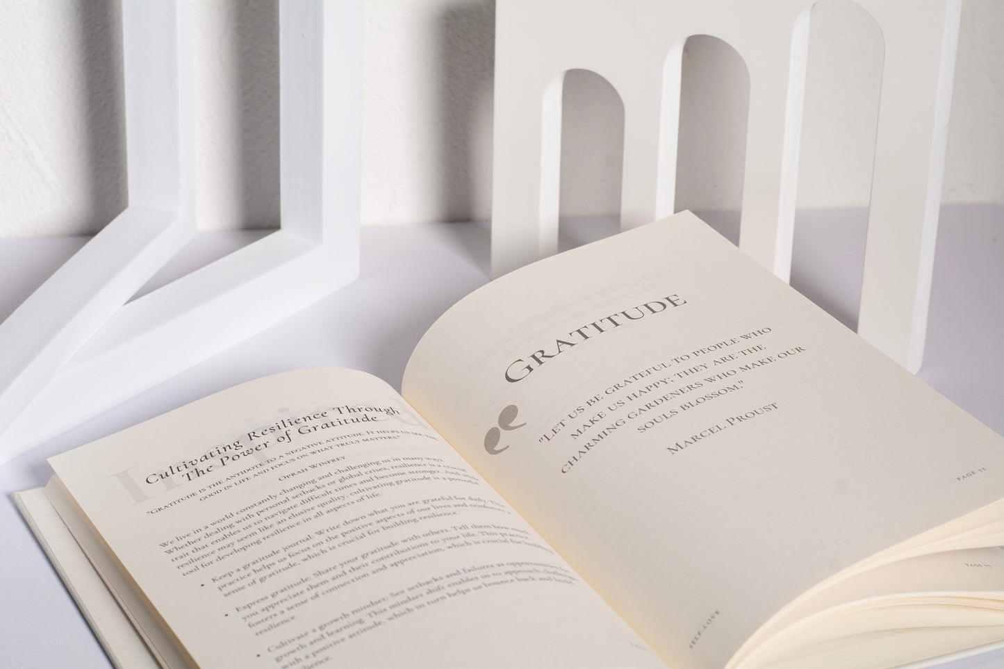 Interior layout of Gratitude Journal showing daily prompts and appreciation spaces
